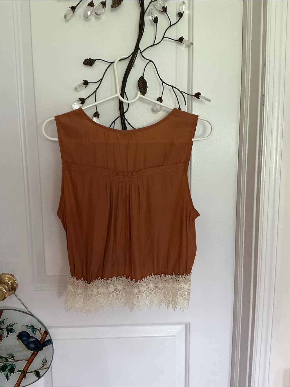 Ramy Brook Rust Lace-Hem Sleeveless Top - Picture 4 of 9
